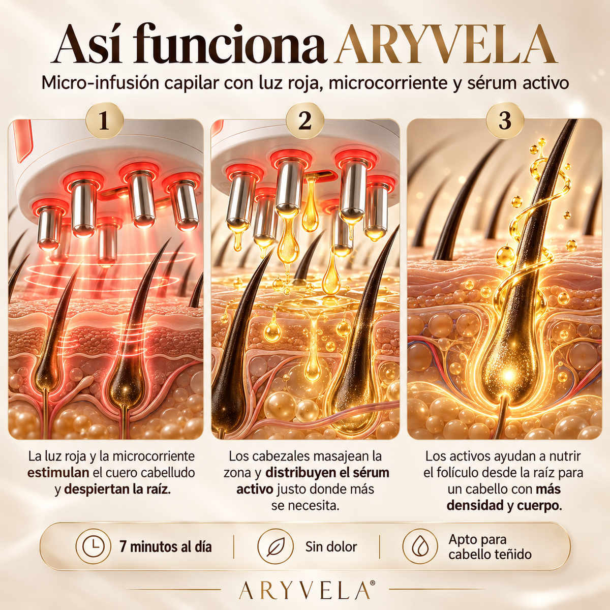ARYVELA™ | Renacer Capilar
